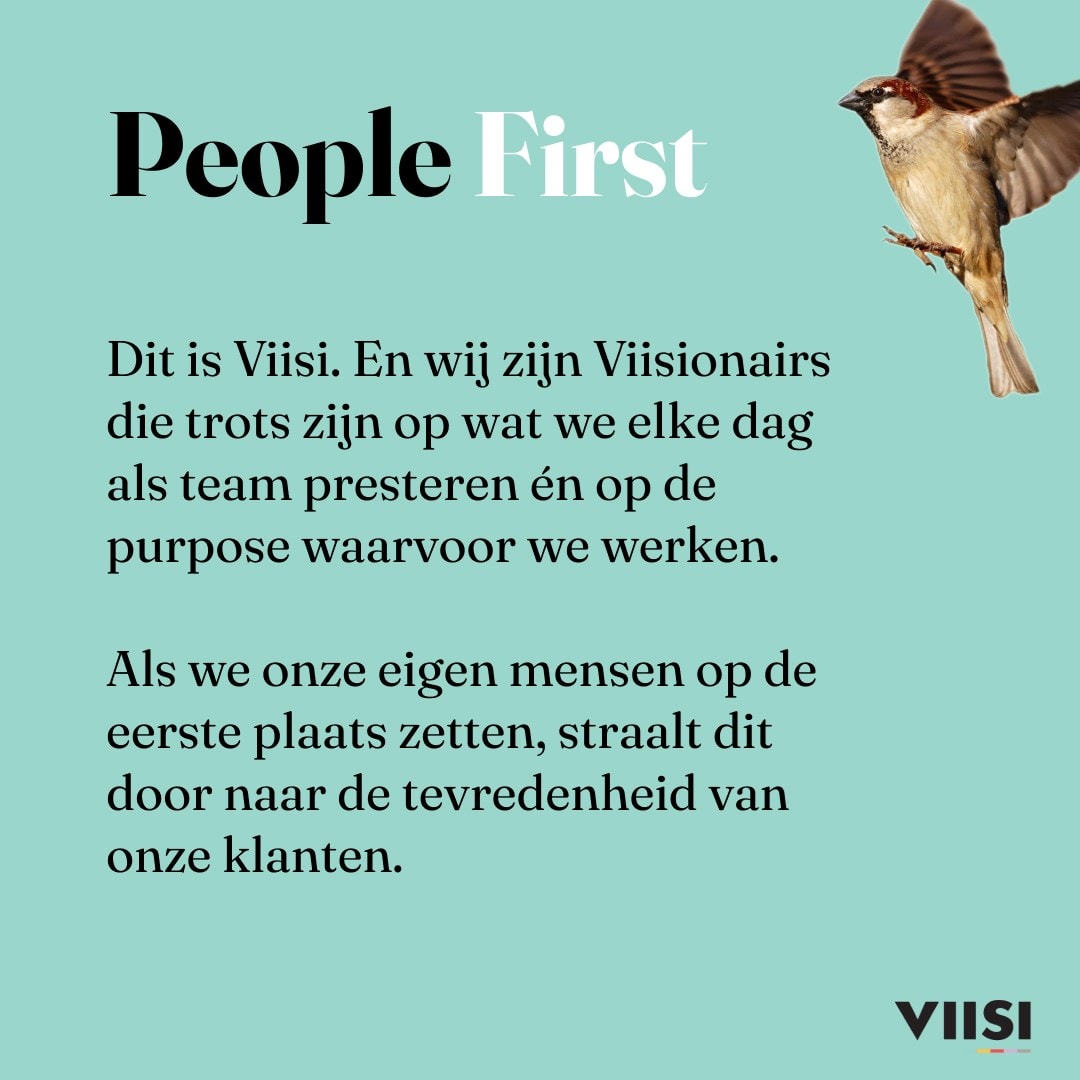 Viisi 